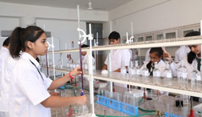 Practical Lab